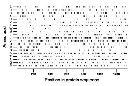 amino acid map