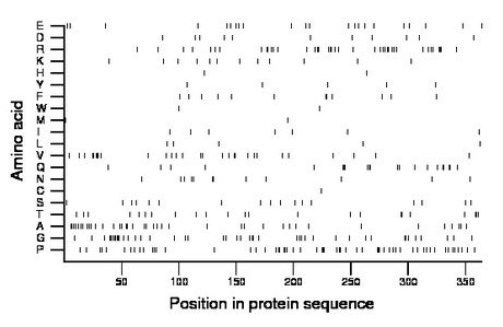 amino acid map