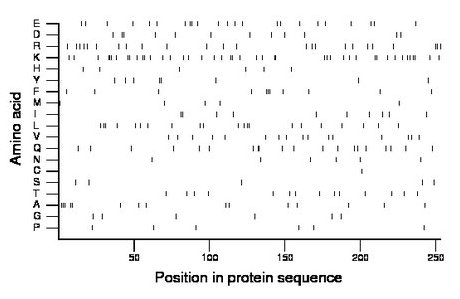 amino acid map