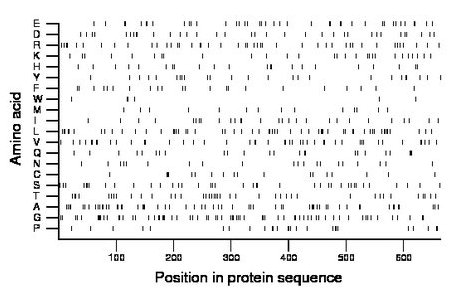 amino acid map