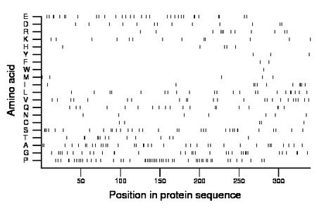 amino acid map