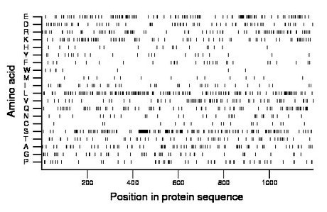 amino acid map