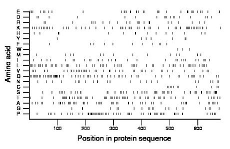 amino acid map