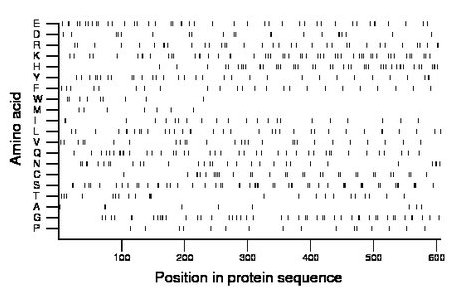 amino acid map