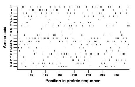 amino acid map