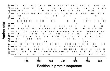 amino acid map