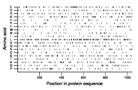 amino acid map