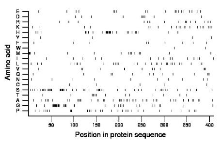 amino acid map