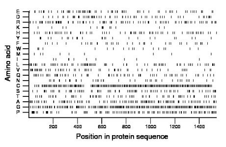 amino acid map