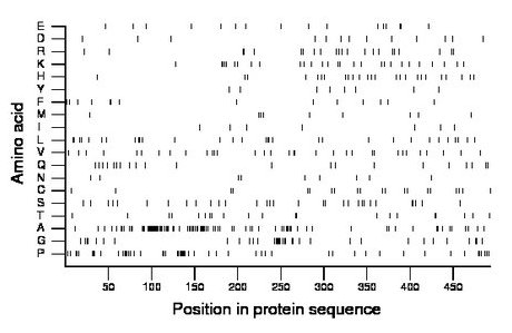 amino acid map