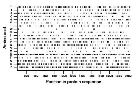 amino acid map