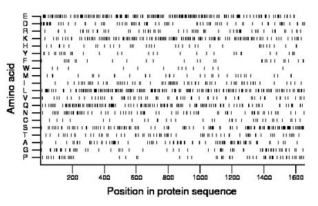 amino acid map