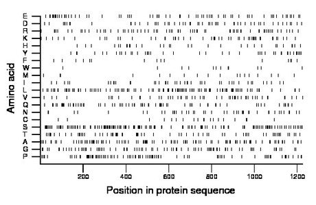 amino acid map