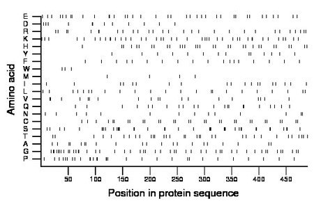 amino acid map