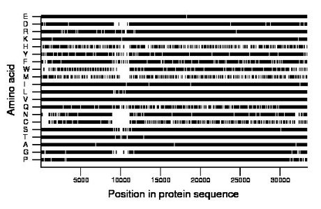 amino acid map