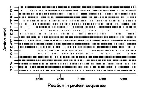 amino acid map