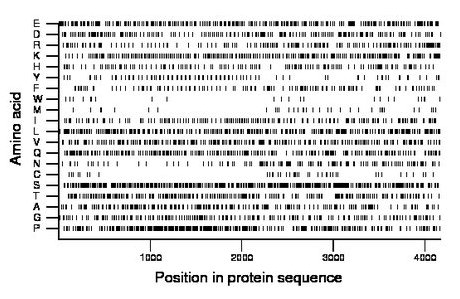 amino acid map