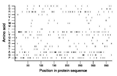 amino acid map