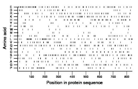 amino acid map