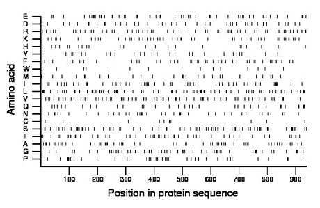 amino acid map