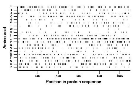 amino acid map