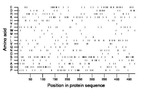 amino acid map