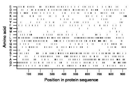 amino acid map