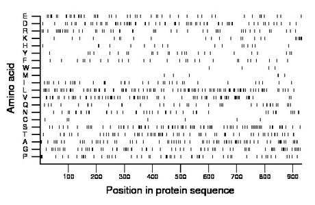 amino acid map