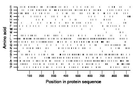 amino acid map