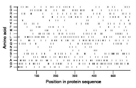 amino acid map