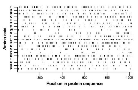 amino acid map