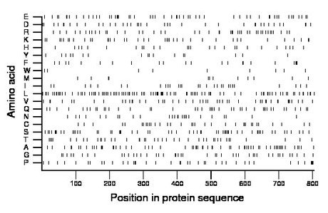 amino acid map