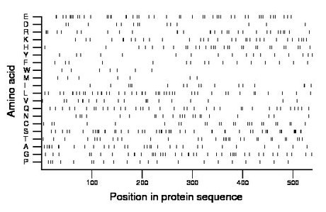 amino acid map