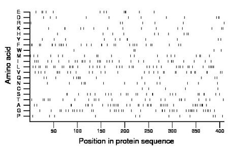 amino acid map