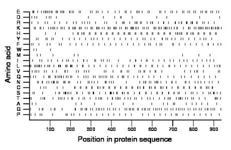 amino acid map