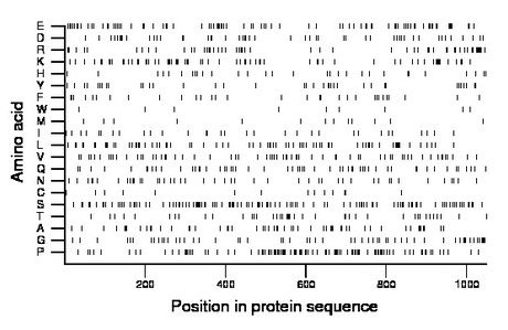 amino acid map