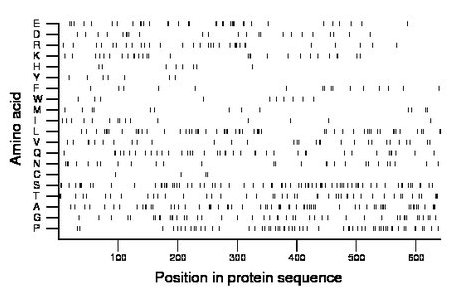 amino acid map