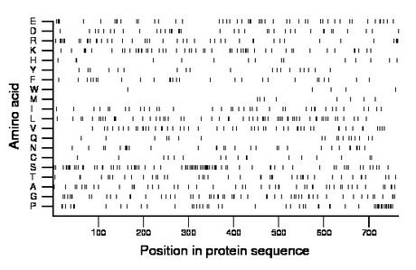 amino acid map