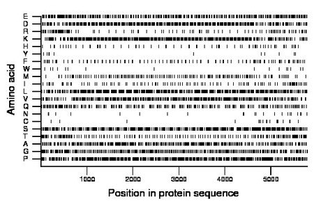 amino acid map