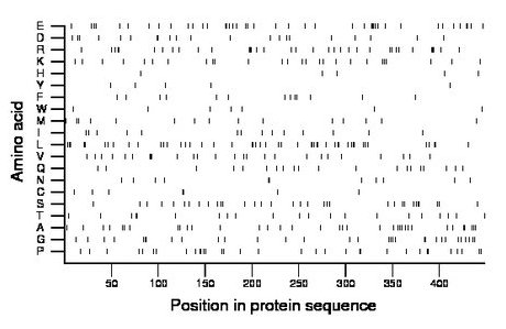 amino acid map