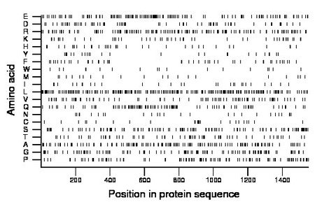 amino acid map