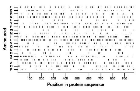 amino acid map