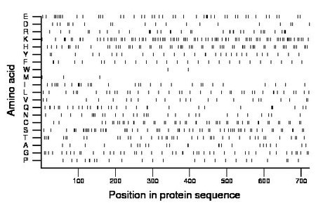 amino acid map