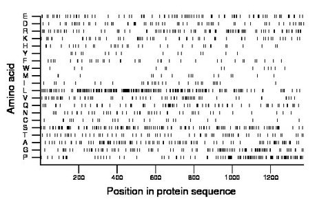 amino acid map