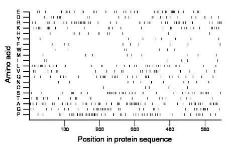 amino acid map