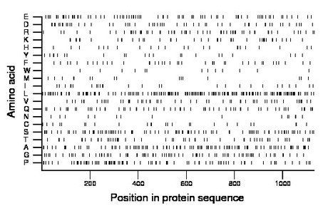 amino acid map