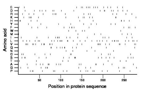 amino acid map