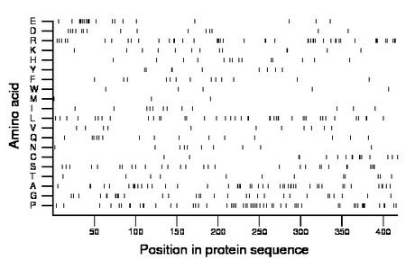 amino acid map