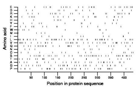 amino acid map