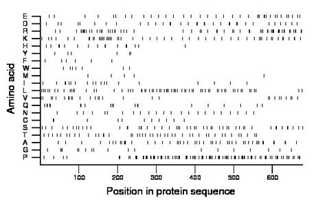 amino acid map